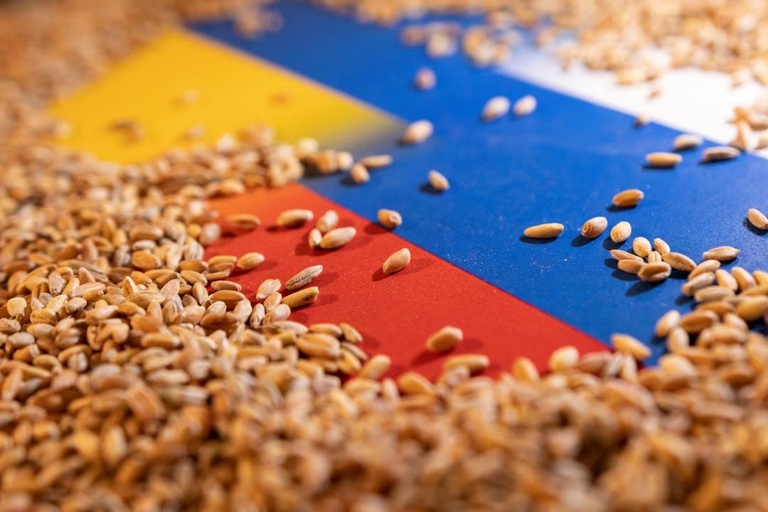 Алексей Иванов в передаче “Международное обозрение”: Зерновая сделка помогла решить проблему голода в развивающихся странах