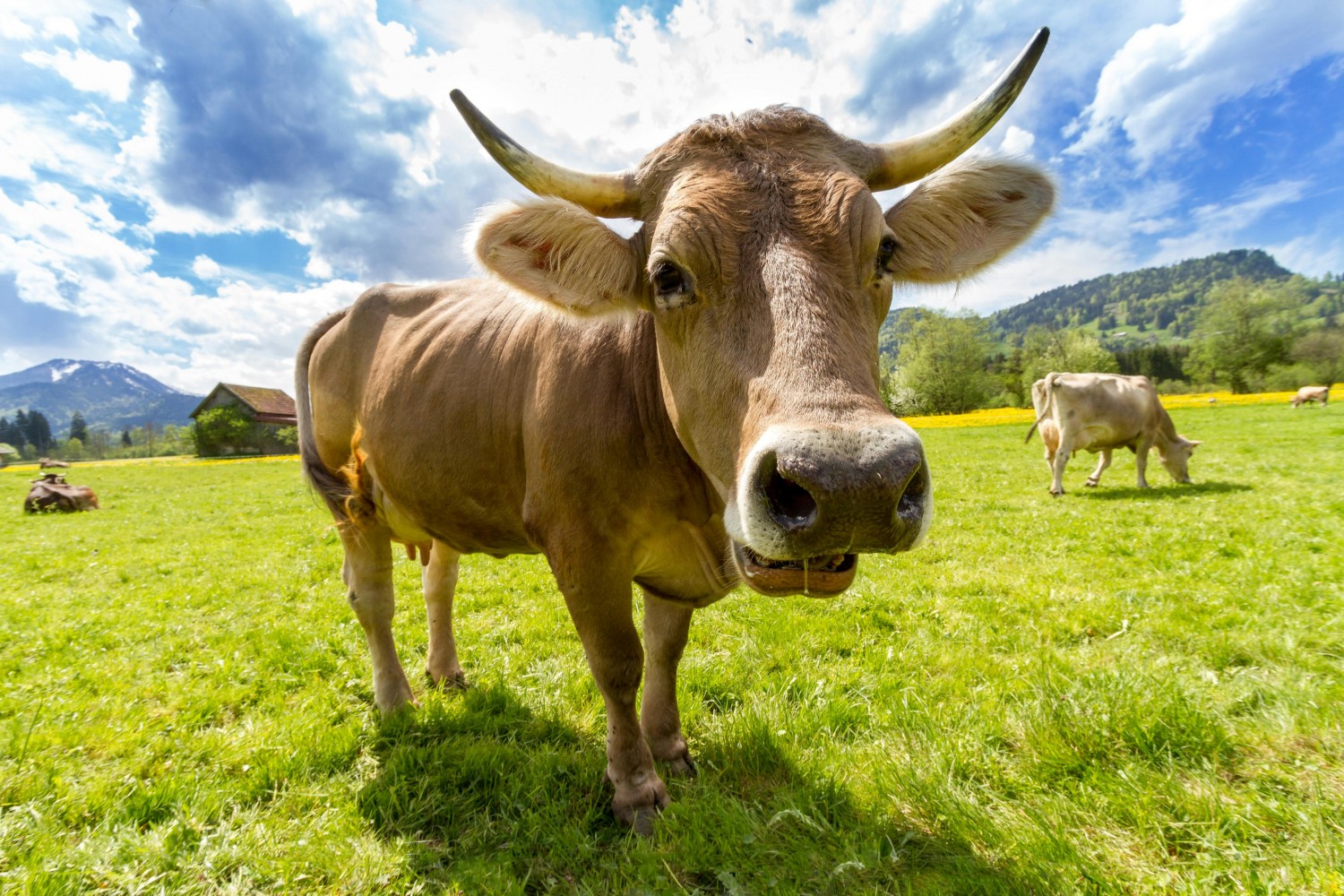 Cargill Expands Animal Feed Production in Brazil