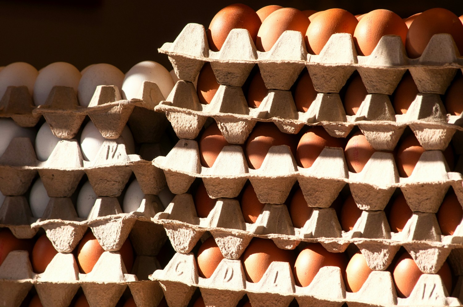 ФАС проверит цены на куриные яйца у крупнейших торговых сетей